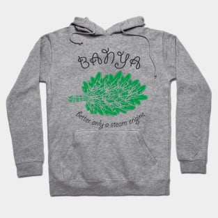 Banya Hoodie